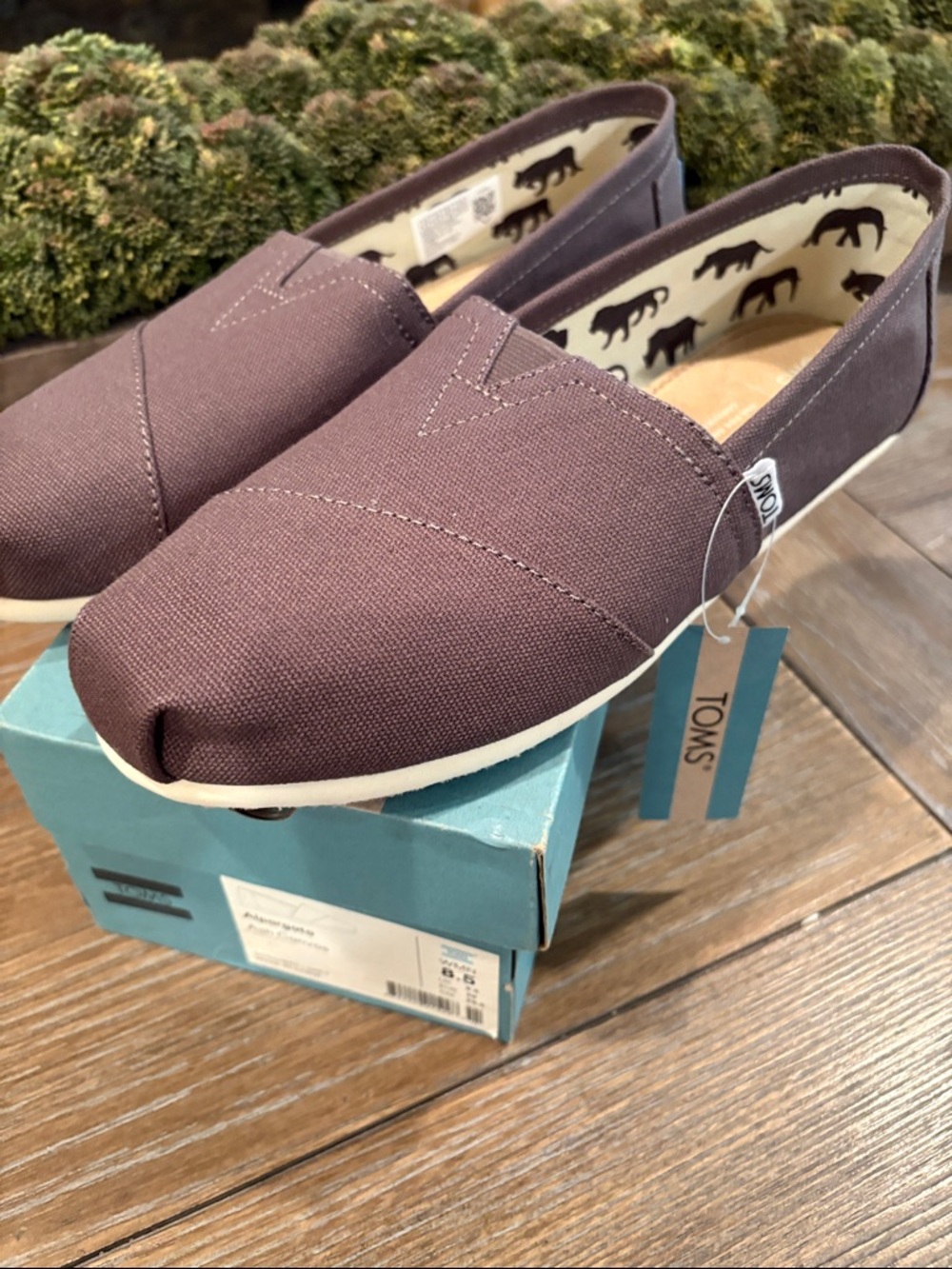 TOMS Alpargata Canvas Slip-Ons in Ash Canvas color size 8.5. NWT+box.